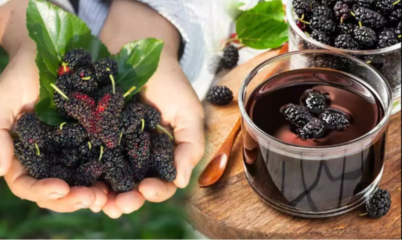 Dut pekmezi 1kg
